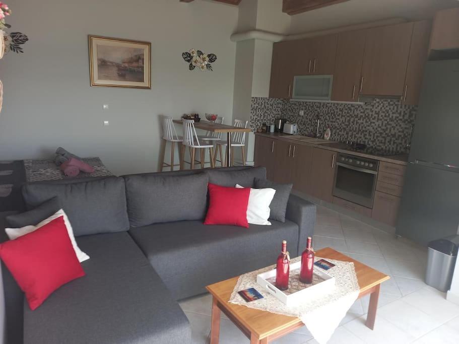 Ligonari Sea View Apartment Tarti エクステリア 写真